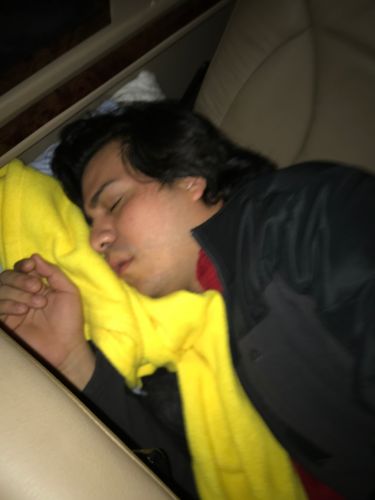 Nestor asleep on the ride to Memphis.